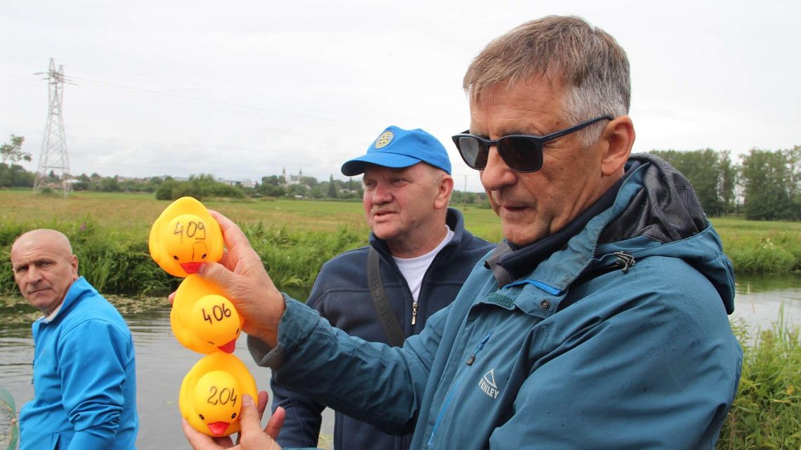 Biała Podlaska: Gumowe kaczki płynęły Krzną. Tłumy kibicowały [zdjęcia]