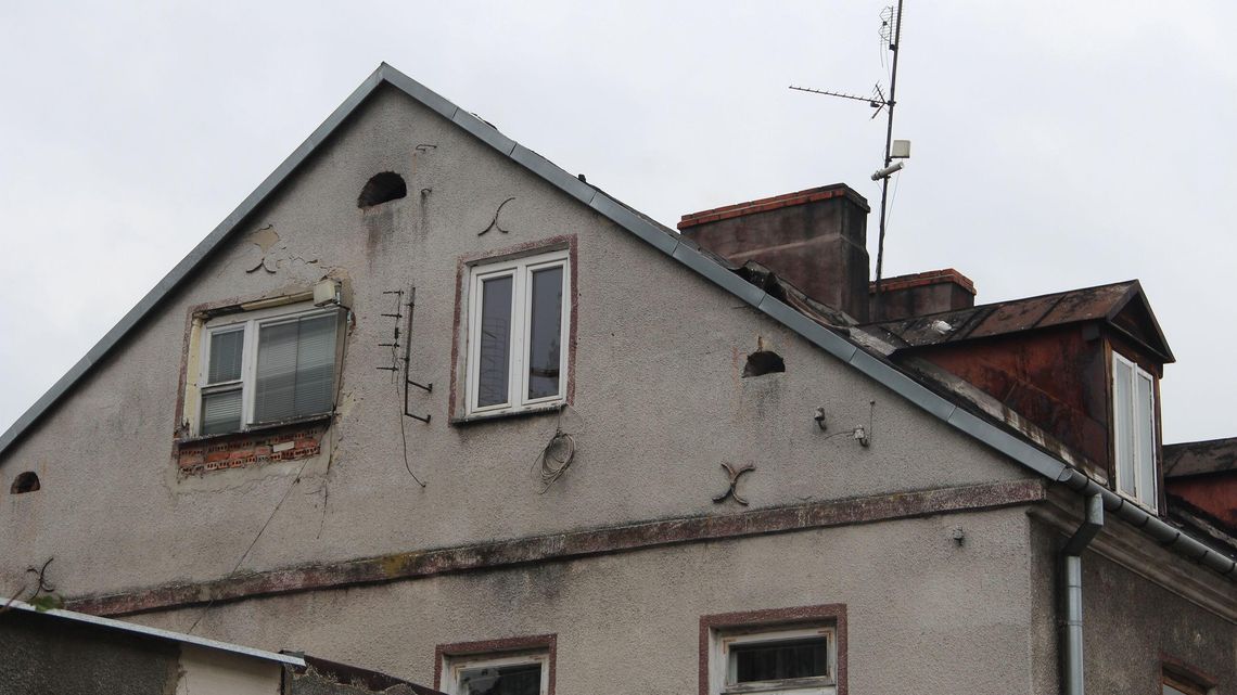 Biała Podlaska: Jak Zakład Gospodarki Lokalowej przegania gołębie. "W środku zostały pisklęta"