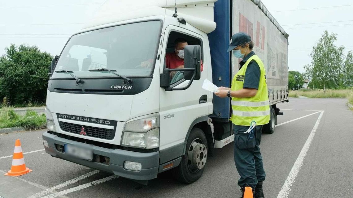 Biała Podlaska: Jest w praca w GITD. Szukają podreferendarzy 