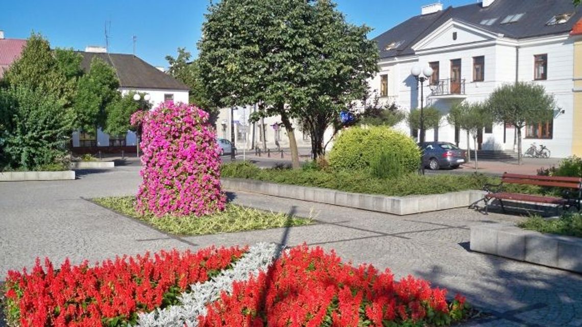 Biała Podlaska: Miejska "Zieleń" ma nową prezes. "To trudny ekonomicznie czas"