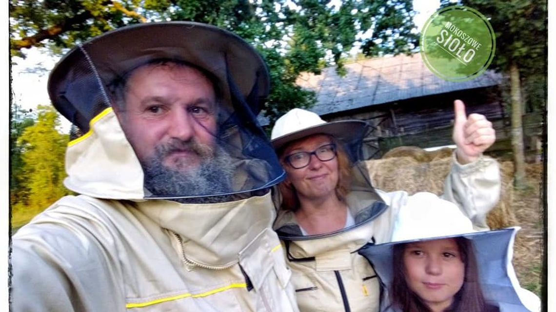 Biała Podlaska: Możesz kupić swój własny rój pszczół i mieć ekologiczny miód Biała Podlaska: Możesz kupić swój własny rój pszczół i mieć ekologiczny miód