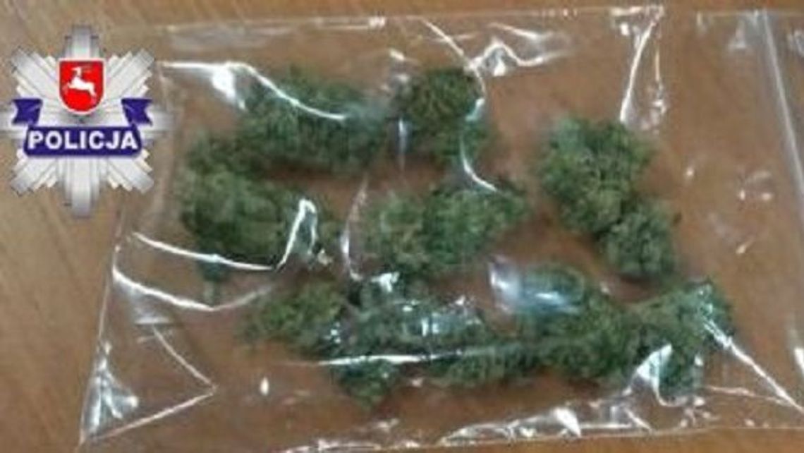 Biała Podlaska: Na widok policjantów wyrzucił woreczek z marihuaną za okno samochodu Biała Podlaska: Na widok policjantów wyrzucił woreczek z marihuaną za okno samochodu