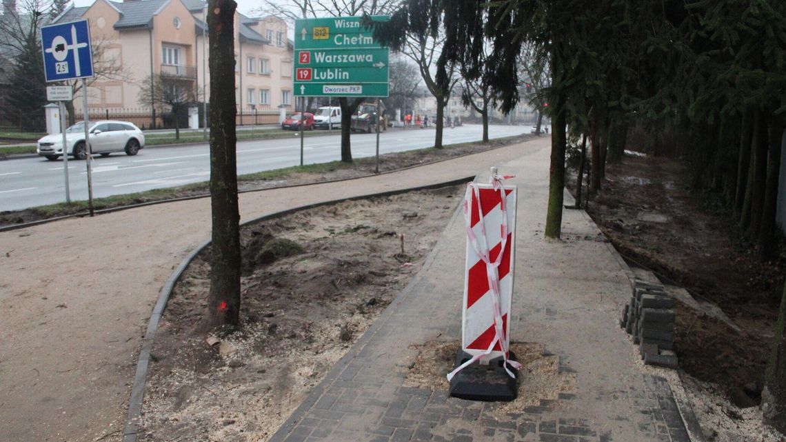 Biała Podlaska. Najpierw zabetonowali, teraz wycięli