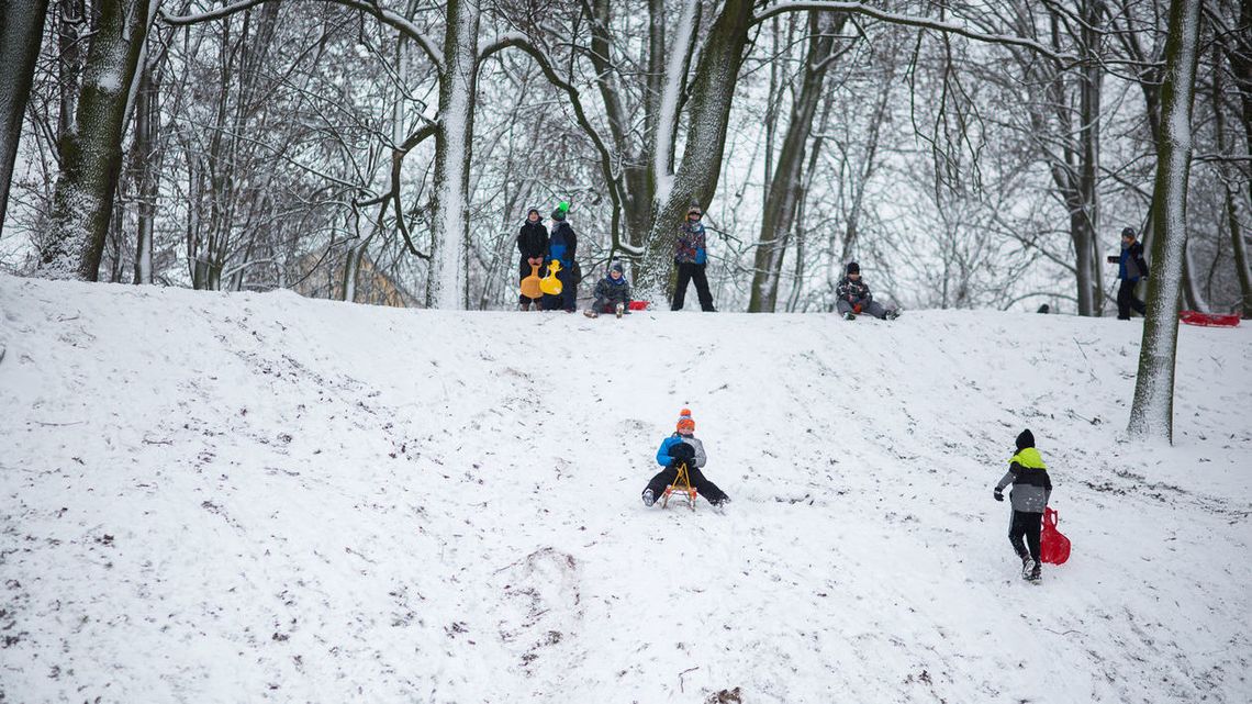 Biała Podlaska: Nie na wszystkich górkach w parku można zjeżdżać Biała Podlaska: Nie na wszystkich górkach w parku można zjeżdżać