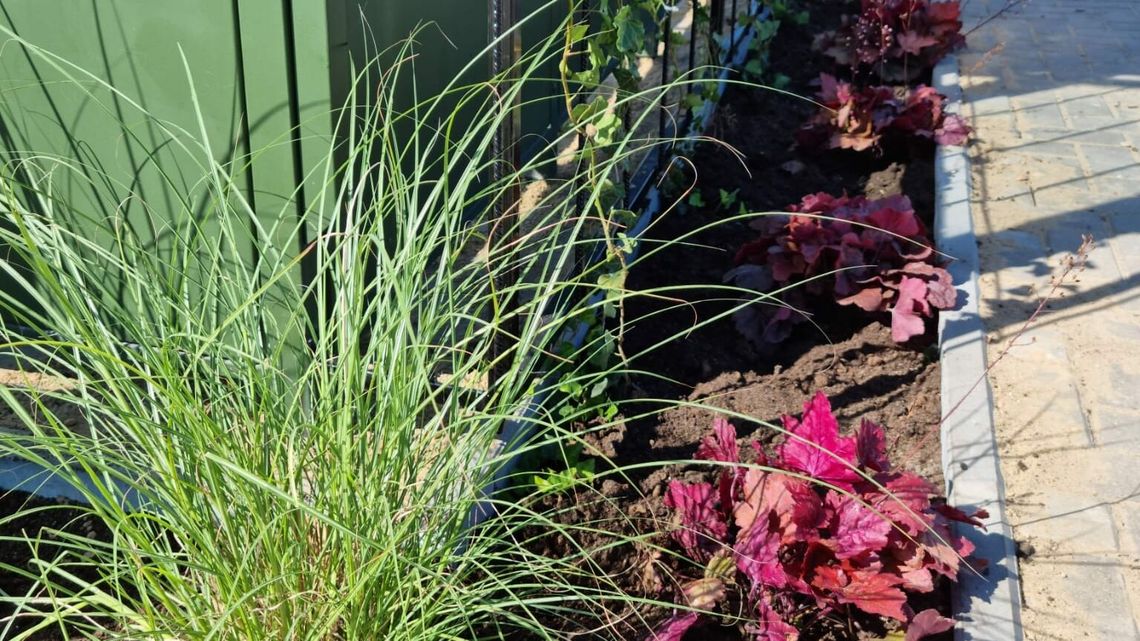 Biała Podlaska: Niektóre przystanki zrobiły się "zielone"