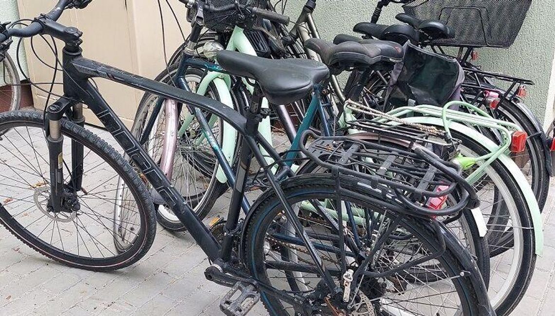 Biała Podlaska: Odpowiedzą za kradzież i paserkę rowerów Biała Podlaska: Odpowiedzą za kradzież i paserkę rowerów