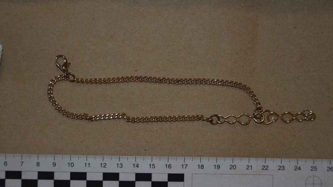 Biała Podlaska. Oszustwo w internecie. Kurier otworzył paczkę i włożył bezwartościową rzecz Biała Podlaska. Oszustwo w internecie. Kurier otworzył paczkę i włożył bezwartościową rzecz