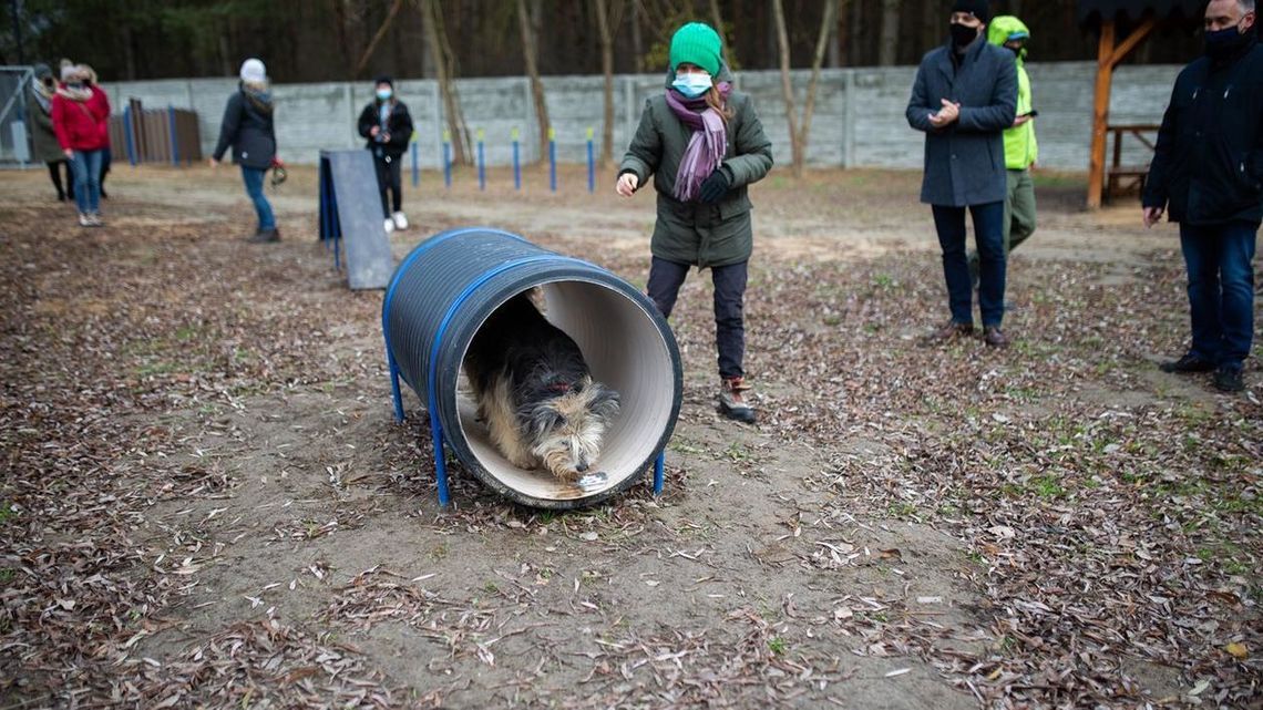 Biała Podlaska: Psy dostały miejsce do zabawy i rehabilitacji