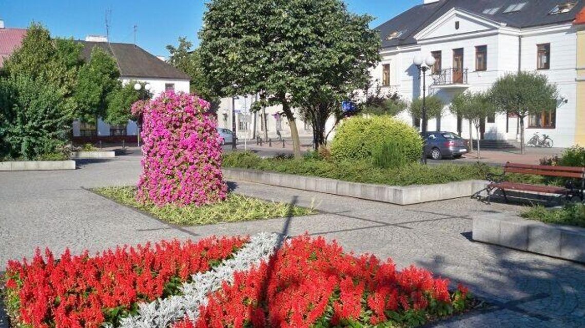 Biała Podlaska: Spółce Zieleń brakuje młodych ogrodników 