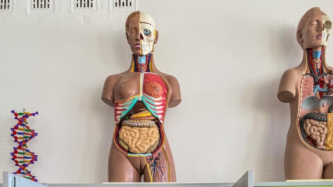 Biała Podlaska: Szkoła Podstawowa nr 9 jest Bialską Szkołą Ćwiczeń 