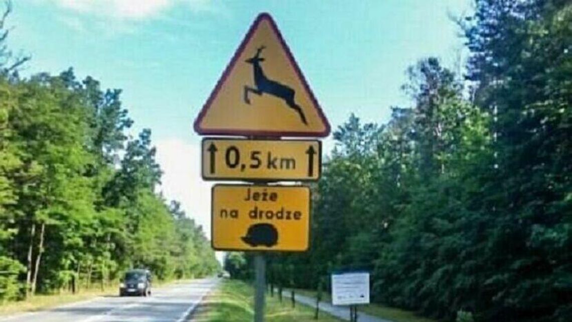 Biała Podlaska: Te tabliczki już były, później zniknęły. O jeże upomina się stowarzyszenie 