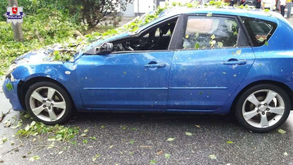 Biała Podlaska: Trzy samochody uszkodzone po piątkowej burzy (zdjęcia)