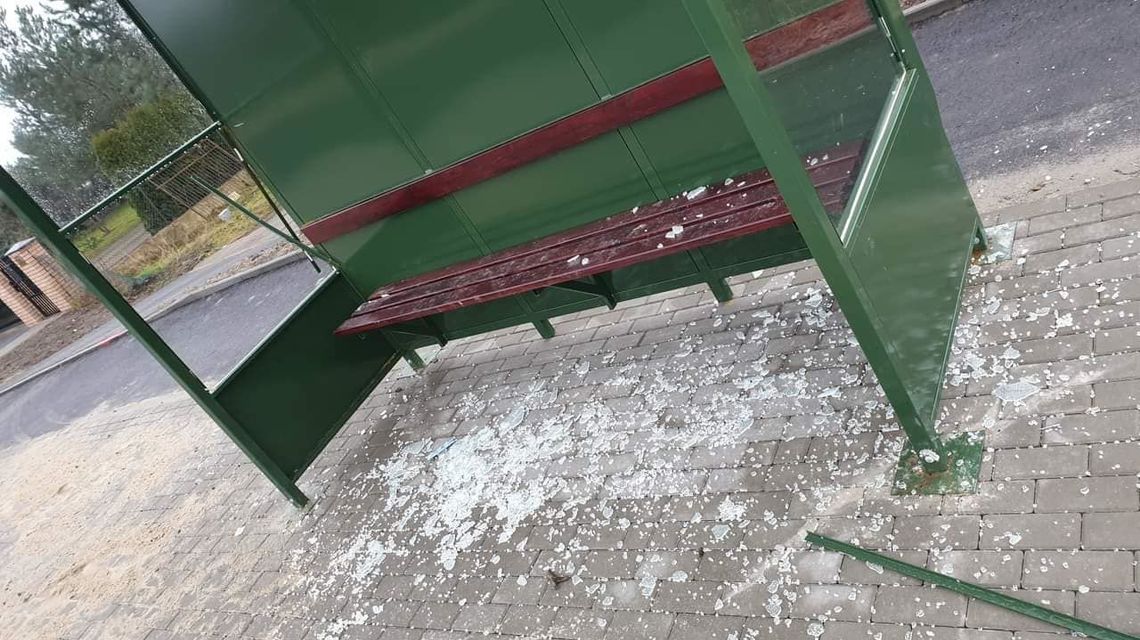 Biała Podlaska: Wandale niszczą wiaty przystankowe. MZK szuka świadków