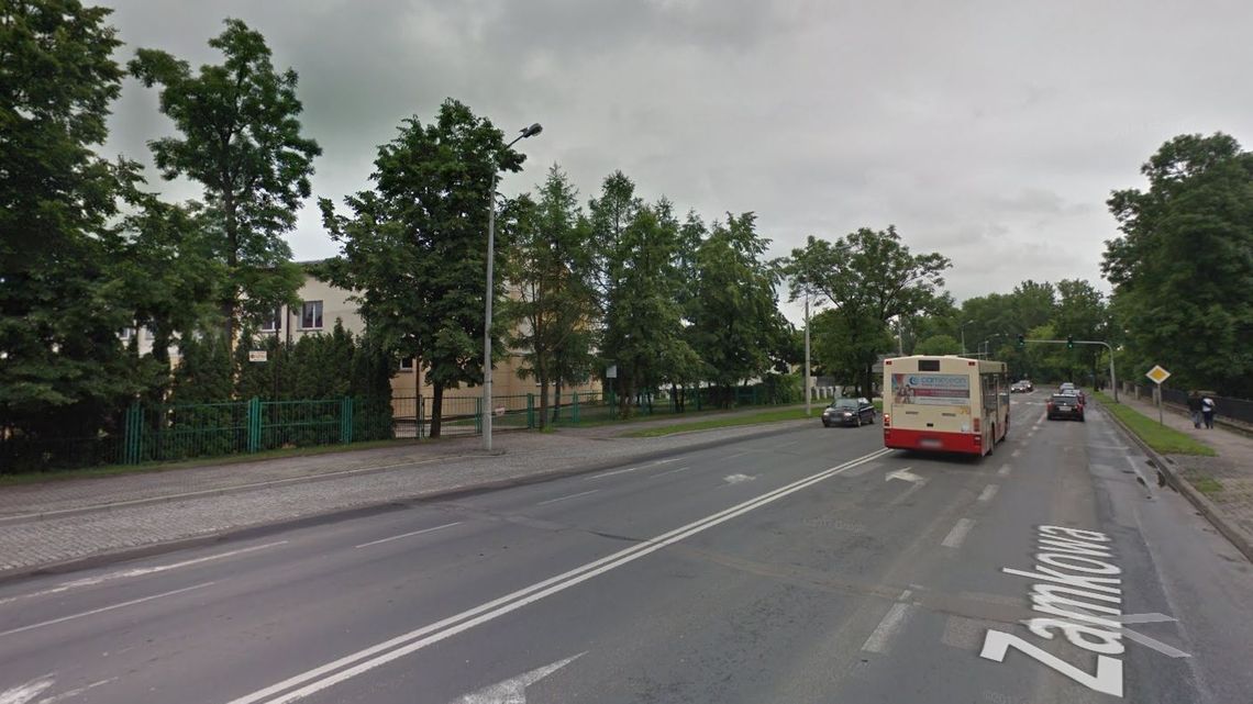 Biała Podlaska: Wytną stare, posadzą nowe drzewa