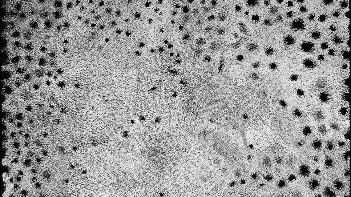 Białe chce przewalczyć mrok. Jubileuszowa wystawa Agnieszki Wójtowicz