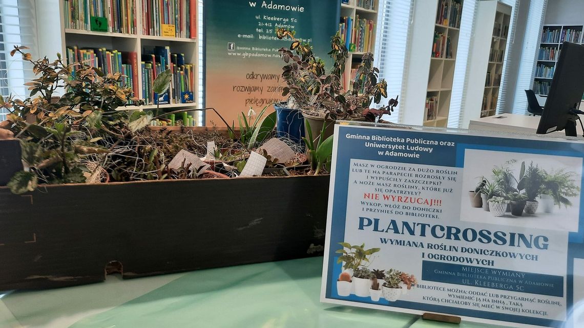 Biblioteka zachęca do "adopcji" roślin. Można też przynieść swoje