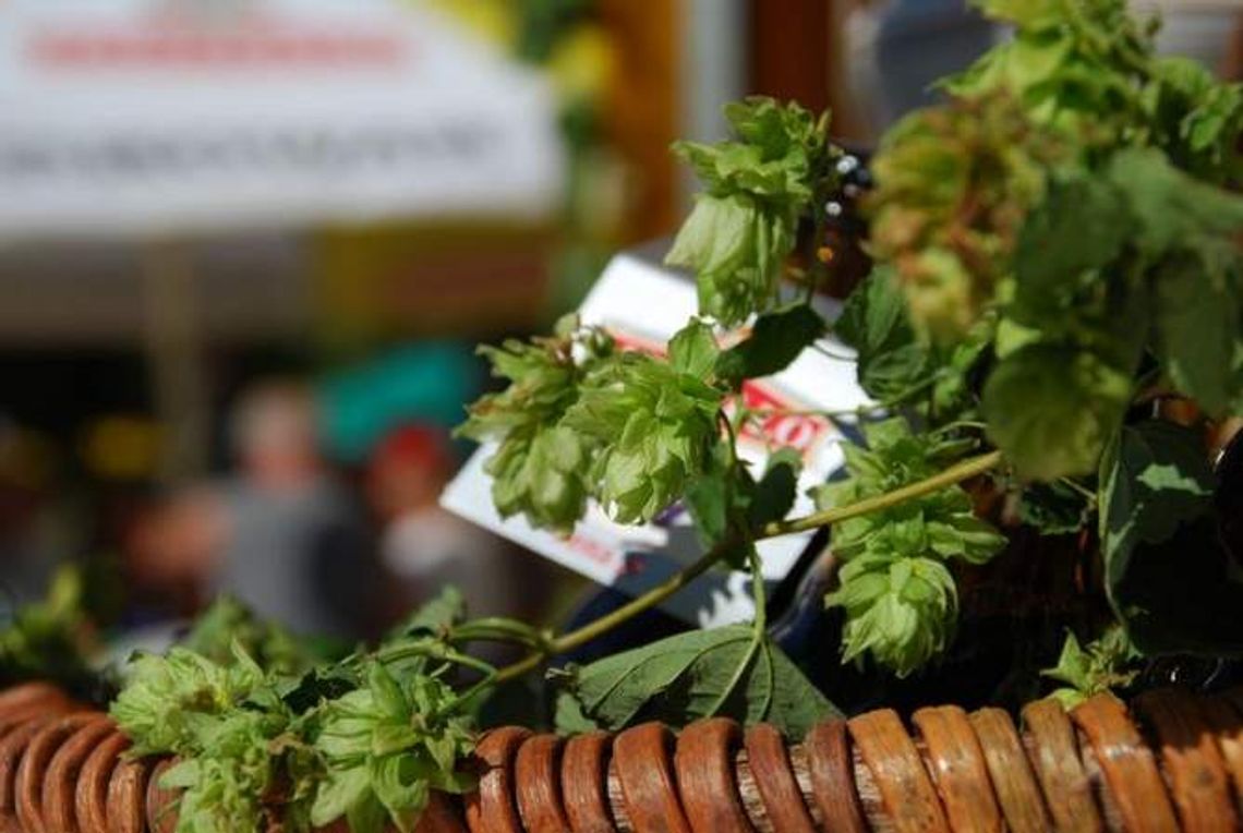 Bilety na Chmielaki 2012 już w sprzedaży