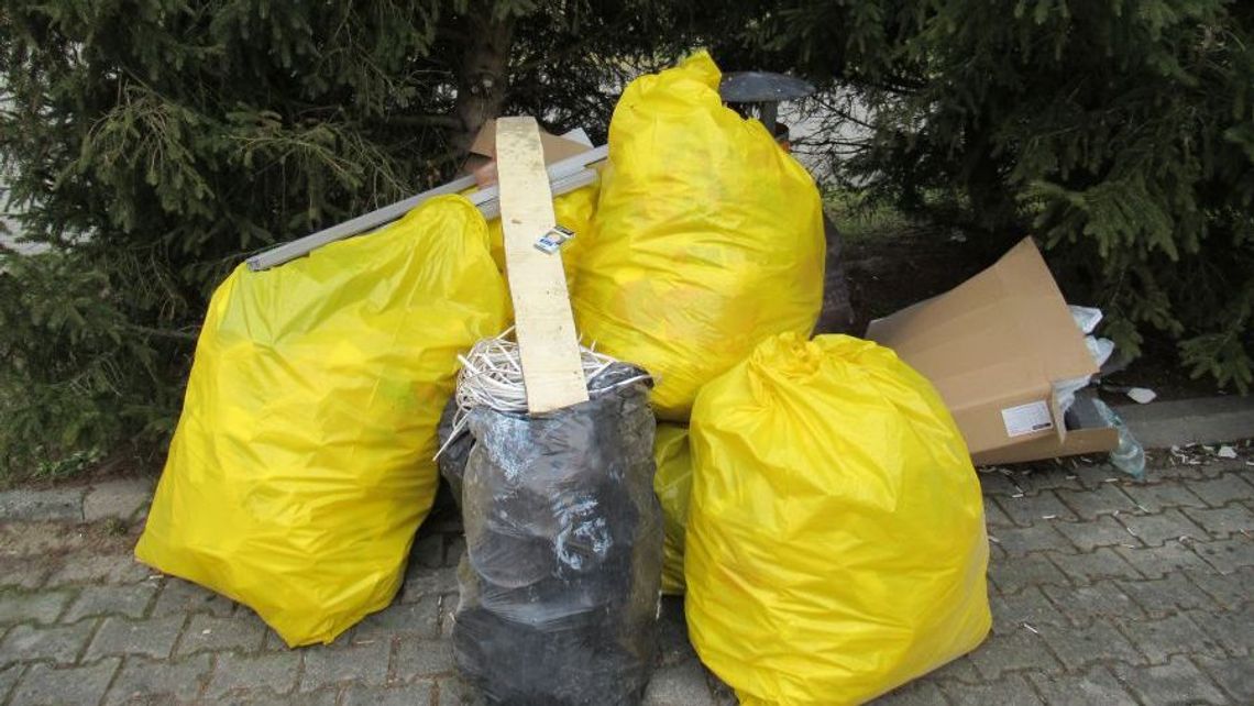 Biłgoraj: Osoby podrzucające odpady nie mogą czuć się bezkarnie