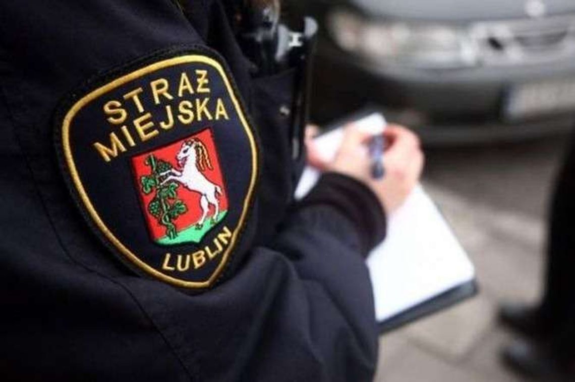 Bili kierowcę i wyciągali z auta? Strażnicy miejscy znów na ławie oskarżonych