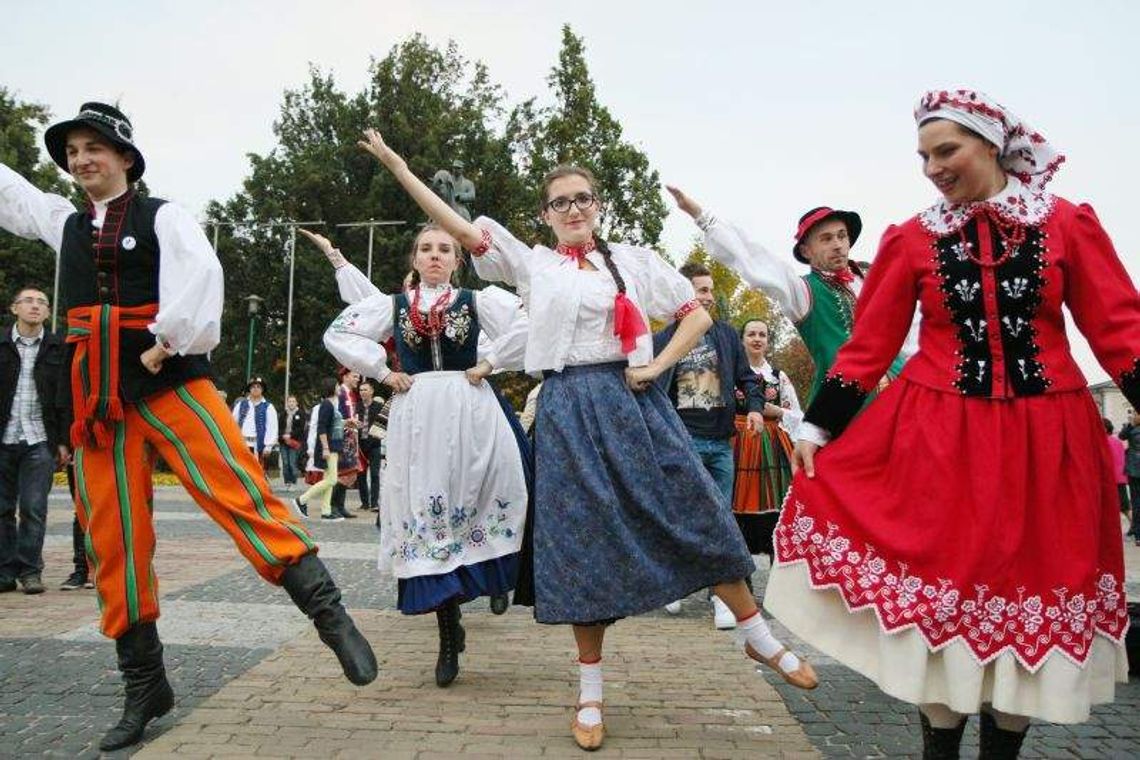 Bili rekord w wycinaniu hołubca Bili rekord w wycinaniu hołubca
