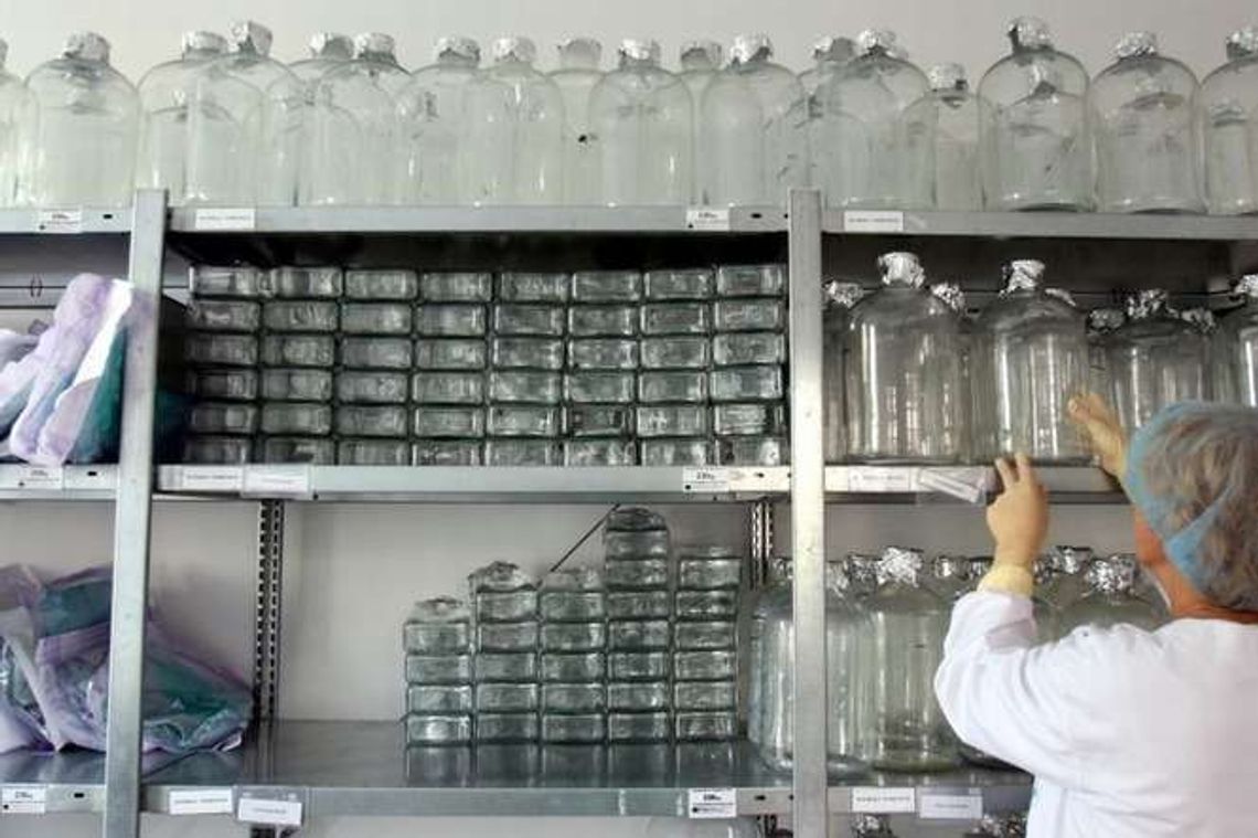 Biomed-Lublin w tarapatach. Firma walczy o przetrwanie