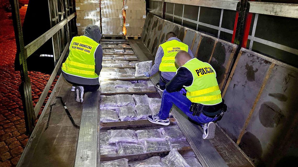 Blisko 200 kg marihuany w naczepie ciężarówki