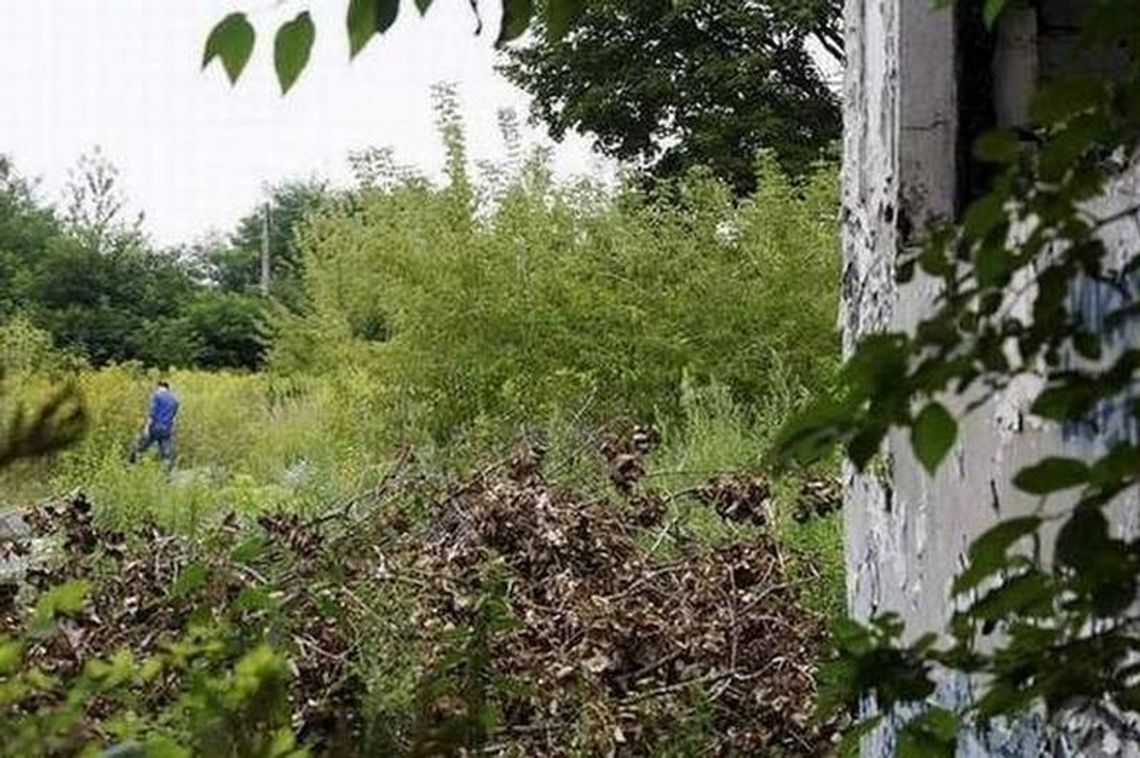 Bloki zamiast aquaparku przy ul. Koncertowej? \"Licytacja może być zacięta\"
