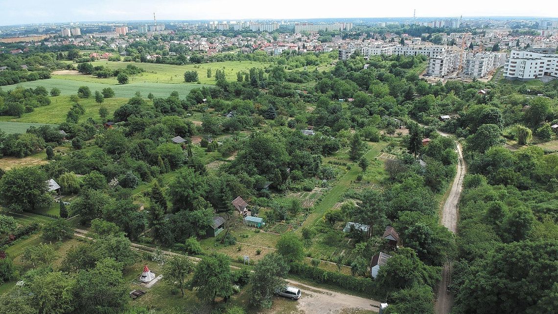 Blokowiska zamiast grządek? Mieszkańcy obawiają się likwidacji ogródków działkowych