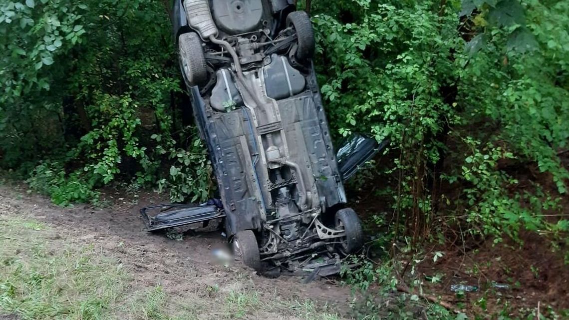 BMW stanęło „słupka” w krzakach. Kierowca nie chciał zabić sarny BMW stanęło „słupka” w krzakach. Kierowca nie chciał zabić sarny