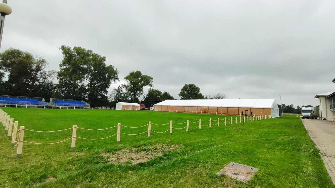 Bogaci kupcy z Bliskiego Wschodu jadą do Janowa Podlaskiego. Ale czy wylicytują?