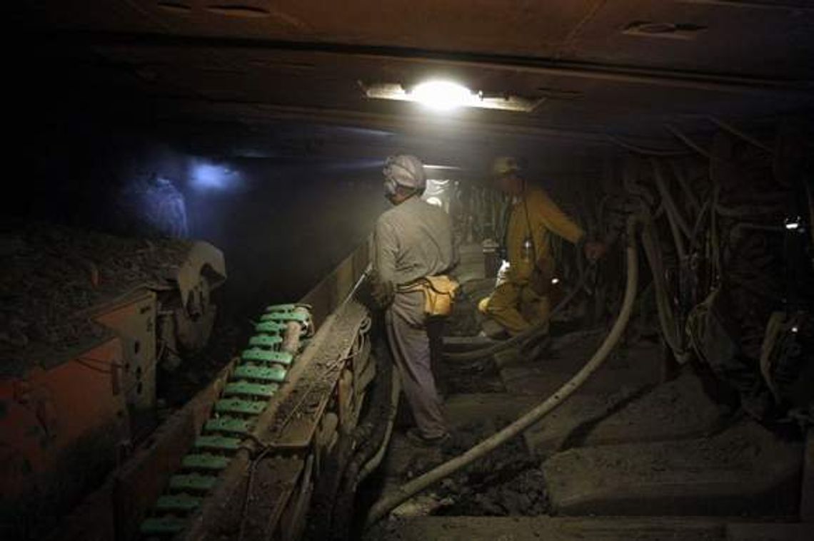 Bogdanka w 2011 roku: Wyniki Bogdanka w 2011 roku: Wyniki