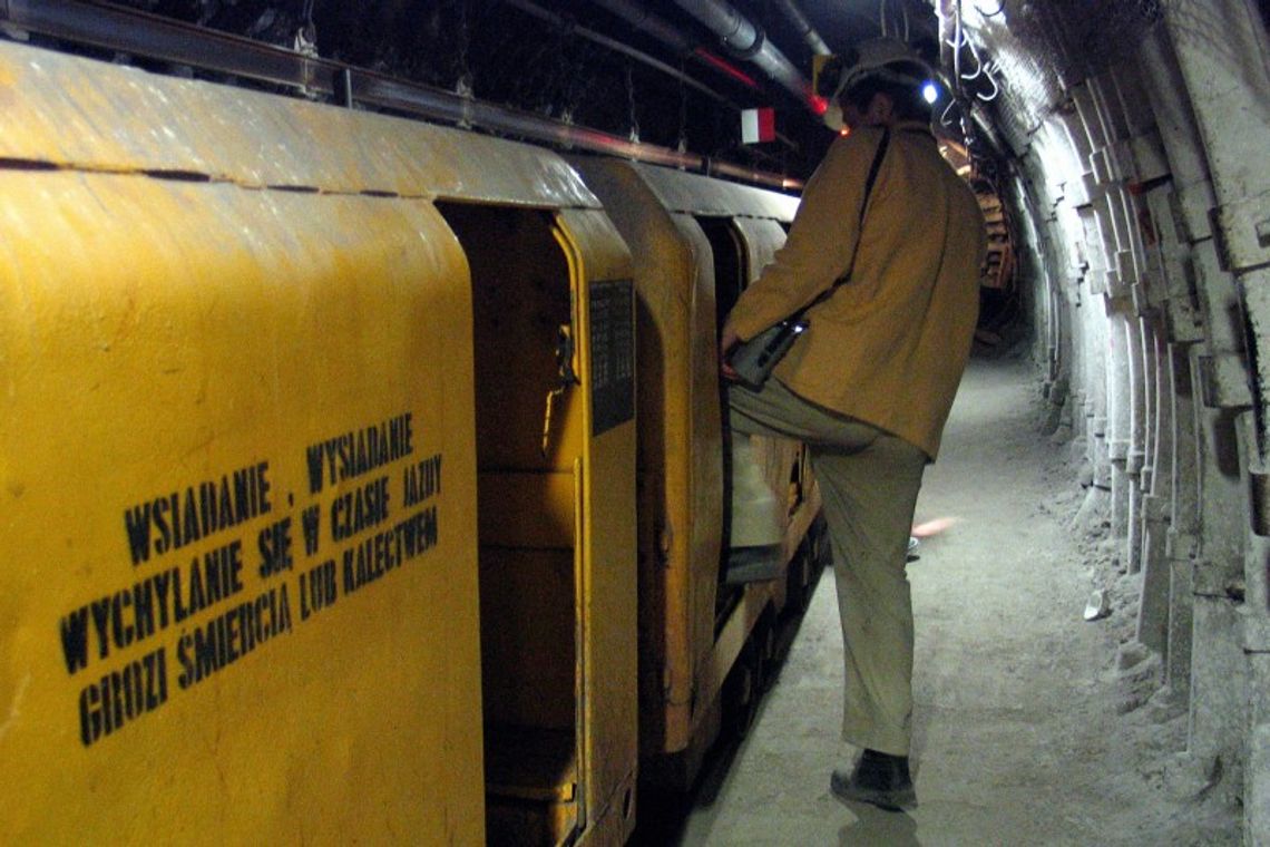 Bogdanka zarabia aż miło
