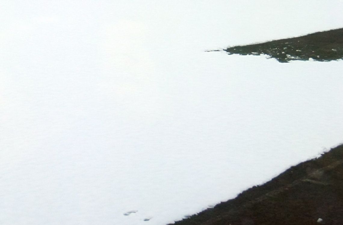 Boisko GKS Dąbrowica może nie zostać przygotowane na inaugurację ligi