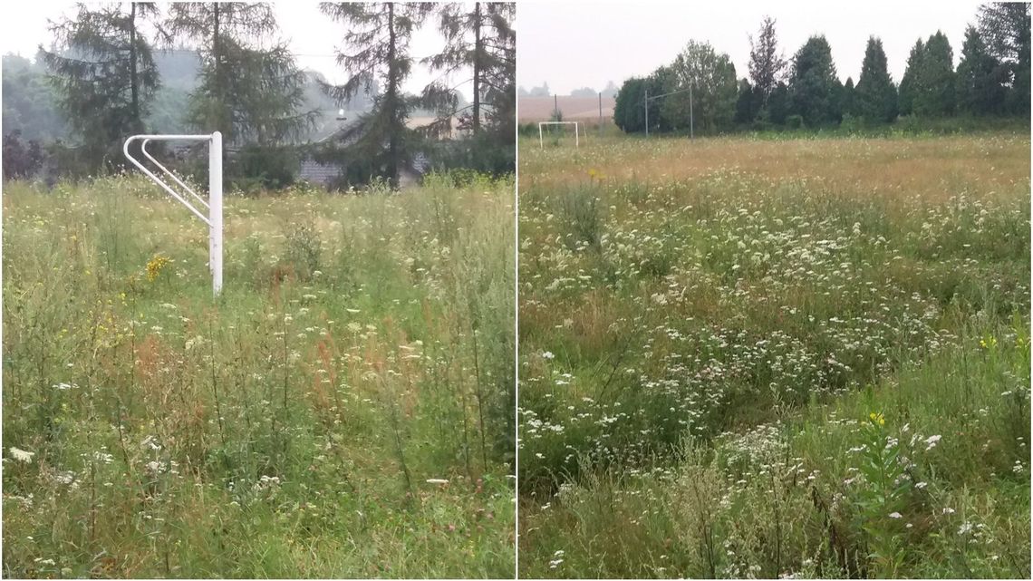 Boisko w Garbowie jak łąki łan. Jak dzieci mają tu grać w piłkę? Boisko w Garbowie jak łąki łan. Jak dzieci mają tu grać w piłkę?