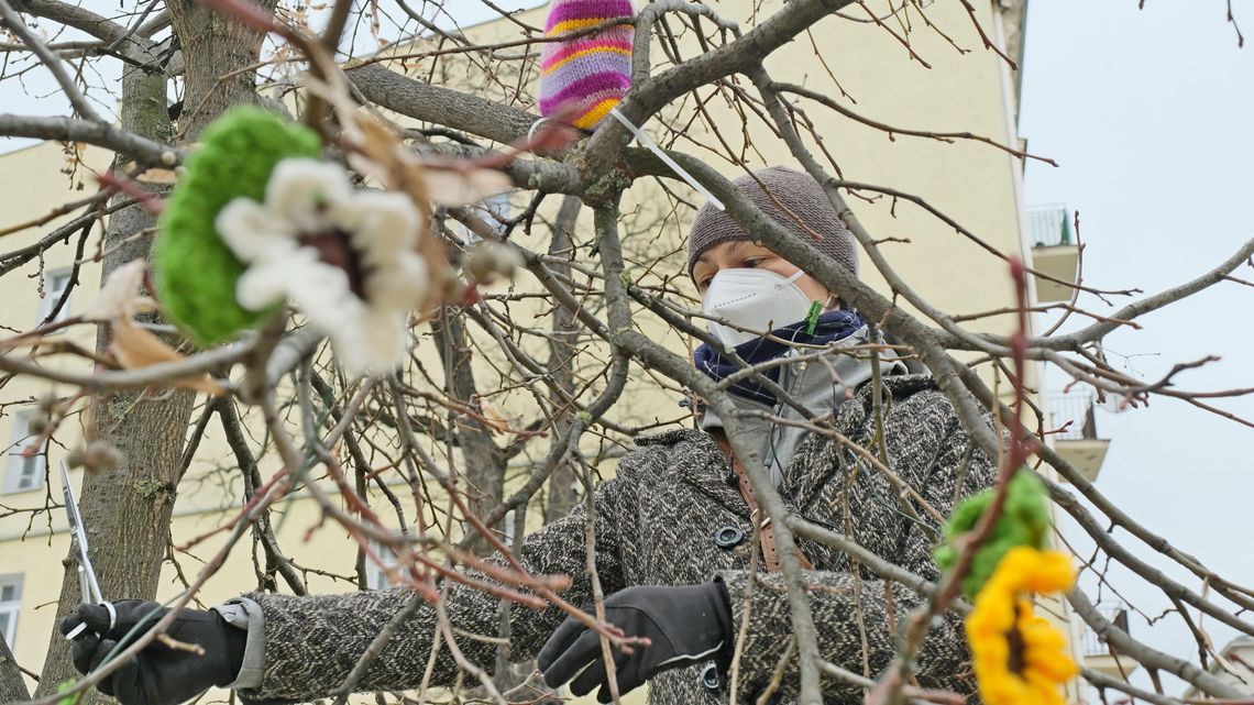 Bombardowanie wiosną. W Lublinie zakwitły włóczkowe kwiatki [zdjęcia]