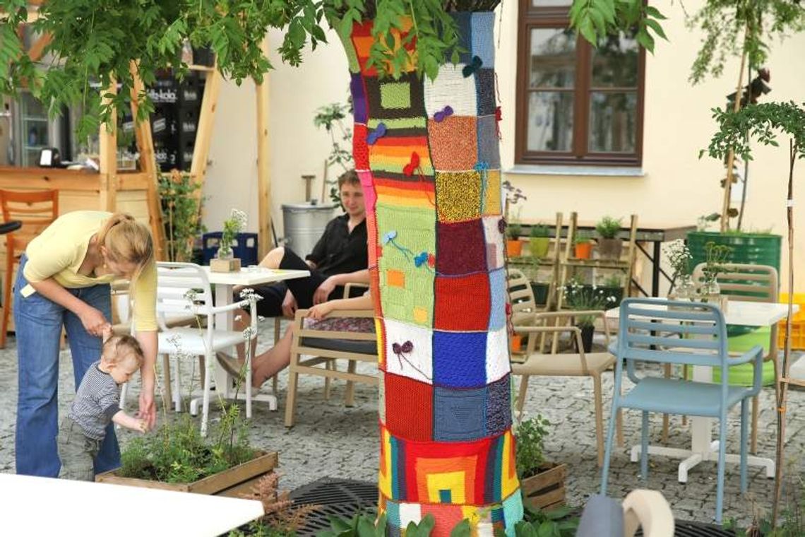 "Bombardowanie włączką" w Lublinie: Drzewa zostały ubrane w swetry "Bombardowanie włączką" w Lublinie: Drzewa zostały ubrane w swetry