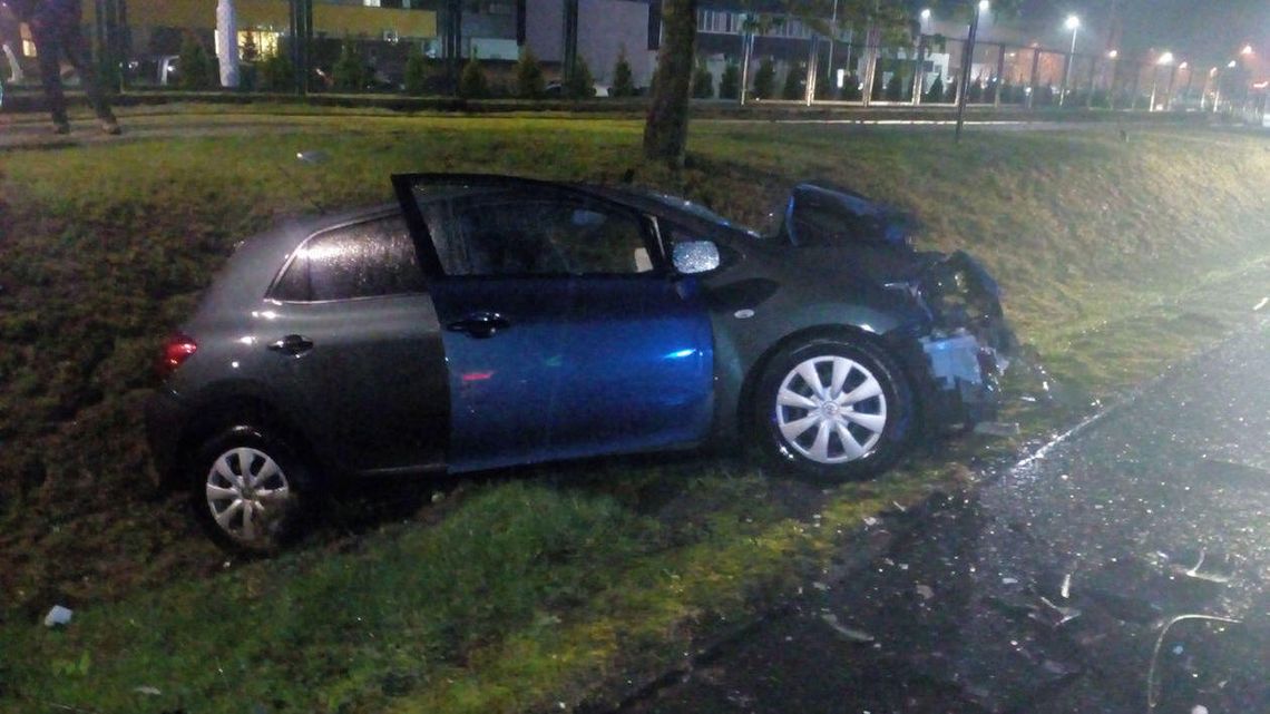 Borownica: Śmiertelny wypadek koło Janowa Lubelskiego. Kierowca toyoty zmarł w szpitalu Borownica: Śmiertelny wypadek koło Janowa Lubelskiego. Kierowca toyoty zmarł w szpitalu