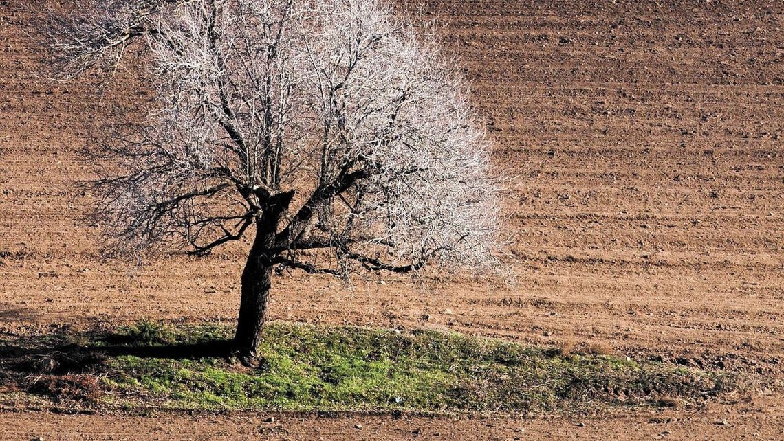 Brak deszczy przeraża rolników. "Jeśli taka pogoda utrzyma się dłużej, to będzie tragedia"