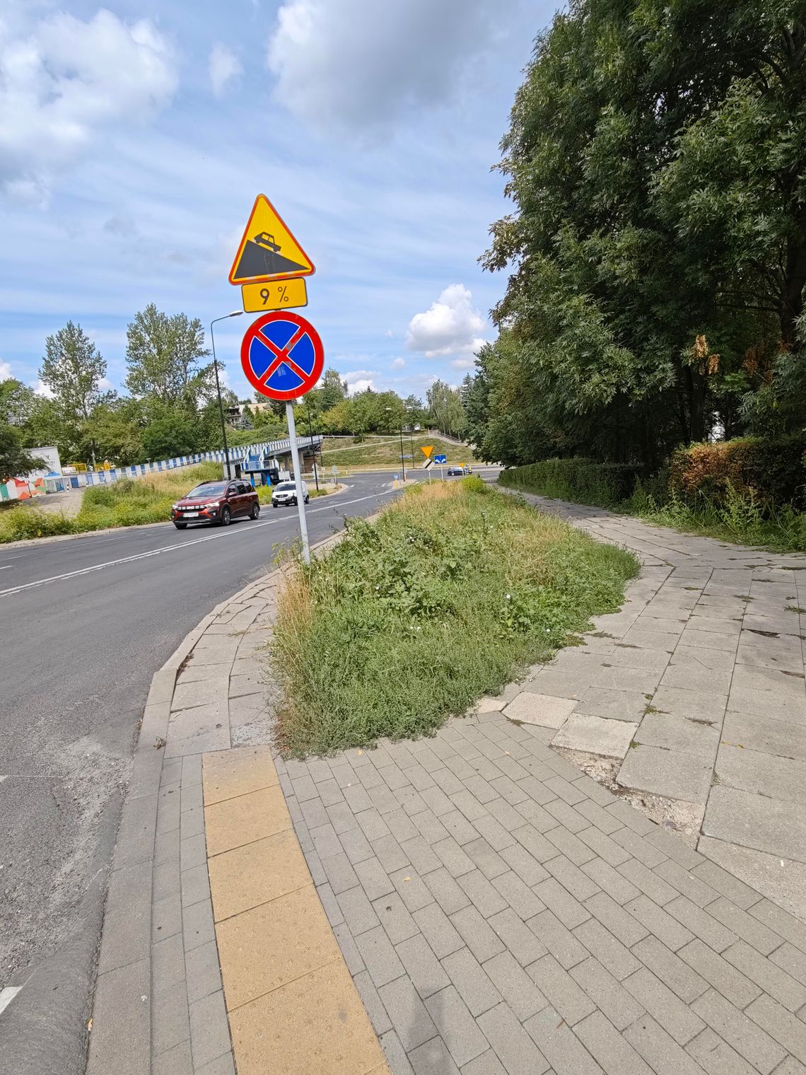 Brak skoszonych traw, czyli (nie)zrównoważone zarządzanie zielenią