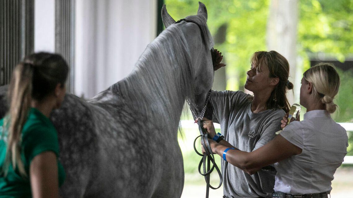 Brodnica, Pustynna Noc... W niedzielę sławna Pride of Poland