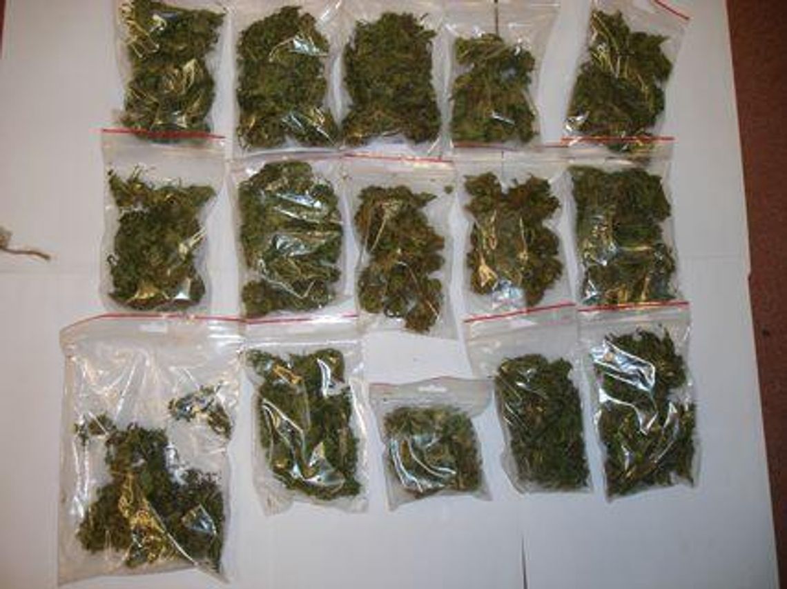 Broń i narkotyki na jednej z posesji w Parczewie