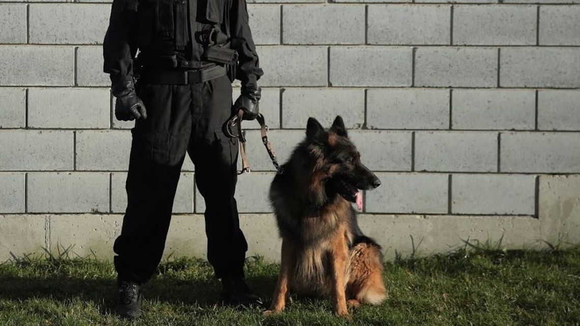 Brutalna napaść na właściciela baru w centrum Lublina. To było dwóch zamaskowanych mężczyzn