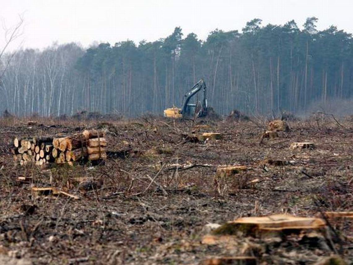 Budowa lotniska w Świdniku: Saperzy skończyli prace (zdjęcia)