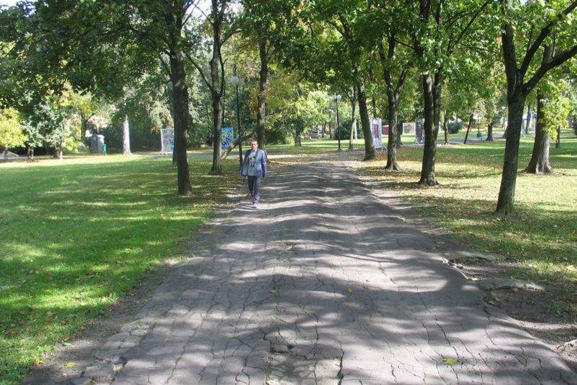 Budżet obywatelski w Chełmie. Na co możesz zagłosować?