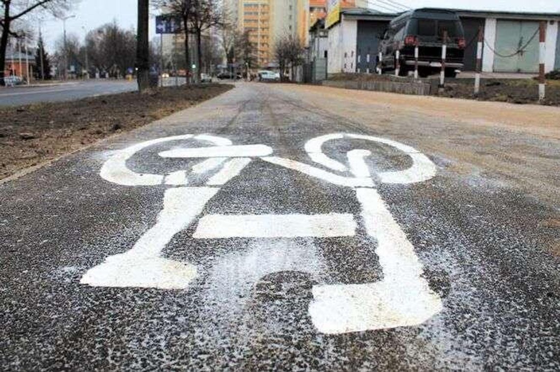 Budżet obywatelski w Puławach. Będą kolejne zmiany w regulaminie?