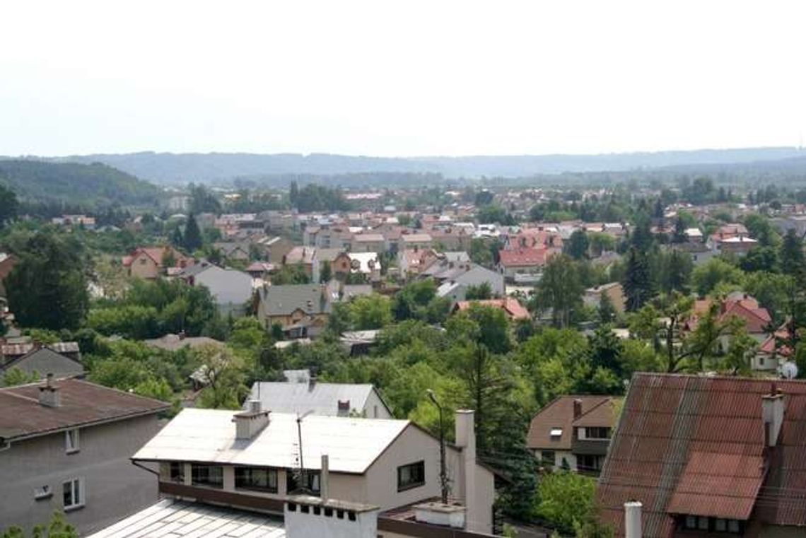 Budżet obywatelski w Puławach. Połowa projektów do kosza - pełna lista przyjętych i odrzuconych