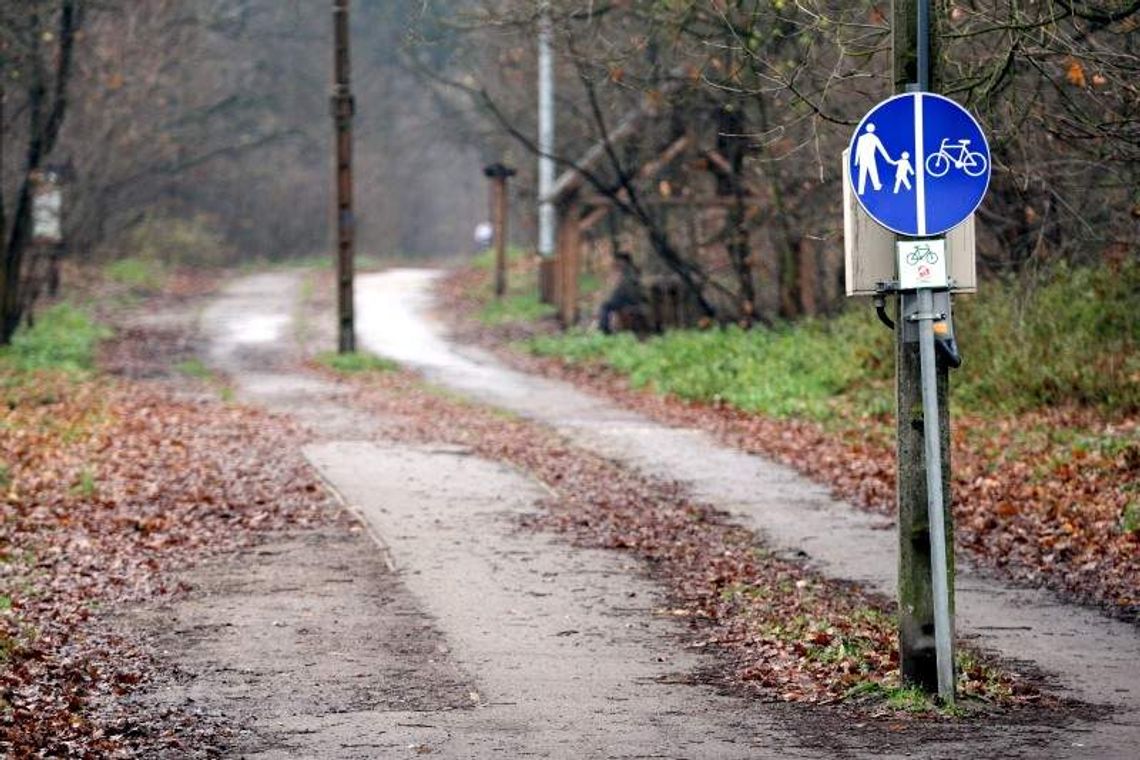 Budżet Puław: Jak podzielą 212 milionów złotych?