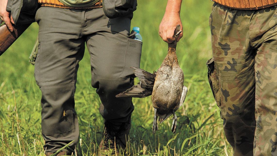 Burmistrz Siedliszcza chce wyłączenia terenu miasta z okręgów łowieckich. "Miasto to nie las" Burmistrz Siedliszcza chce wyłączenia terenu miasta z okręgów łowieckich. "Miasto to nie las"