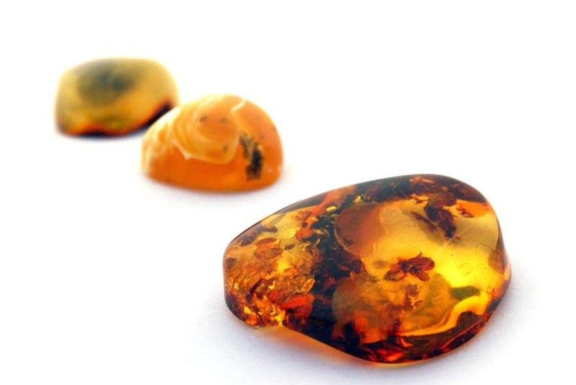 Bursztyn pod Parczewem. Wstępne wyniki poszukiwań do końca roku