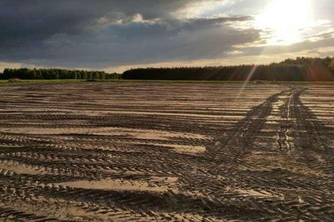 Bursztynowa gorączka wcale nie minęła. Trwają odwierty w Lubelskiem